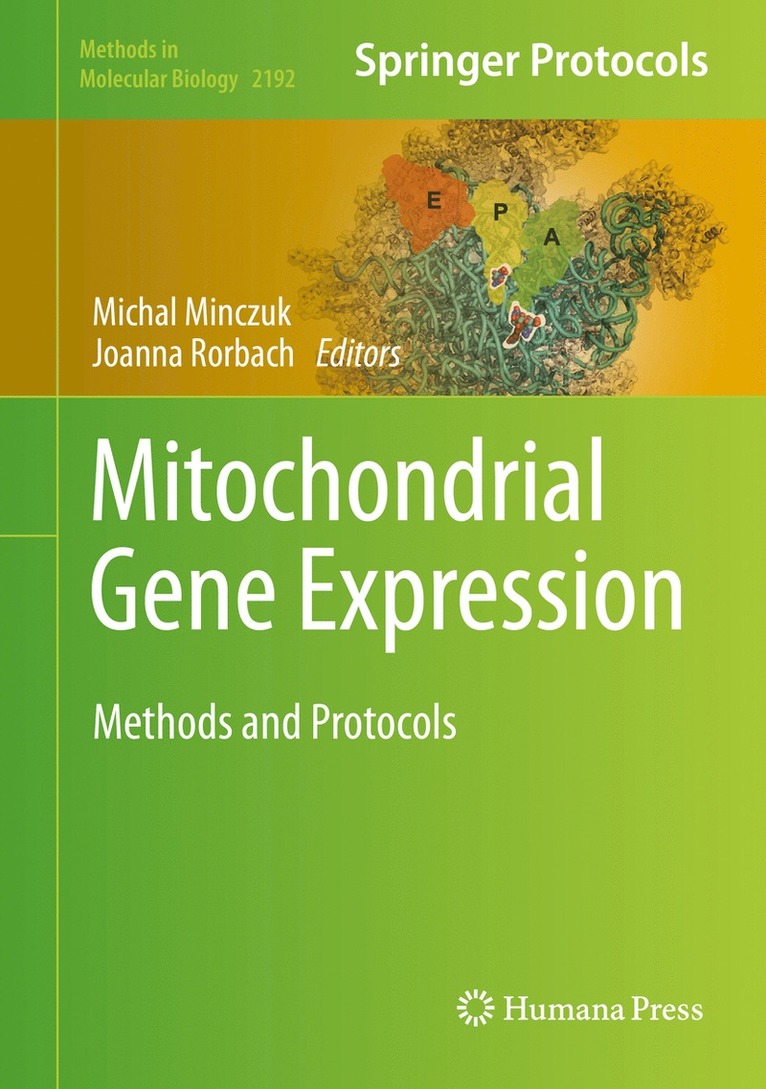 Michal Minczuk, Joanna Rorbach - Mitochondrial Gene Expression, Inbunden