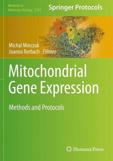 bokomslag Mitochondrial Gene Expression