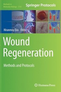 bokomslag Wound Regeneration