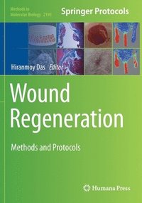 bokomslag Wound Regeneration