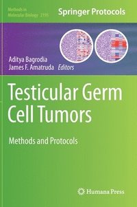 bokomslag Testicular Germ Cell Tumors