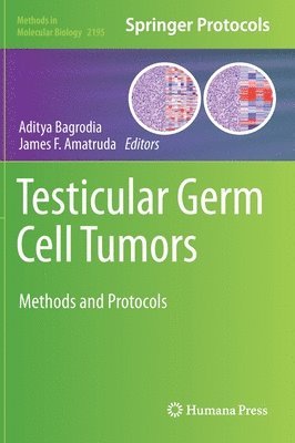 Aditya Bagrodia, James F. Amatruda - Testicular Germ Cell Tumors, Inbunden