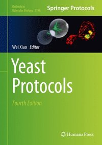 bokomslag Yeast Protocols