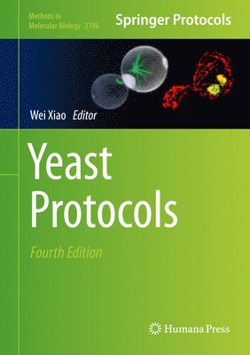 Yeast Protocols 1