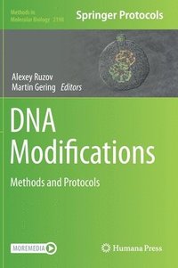 bokomslag DNA Modifications