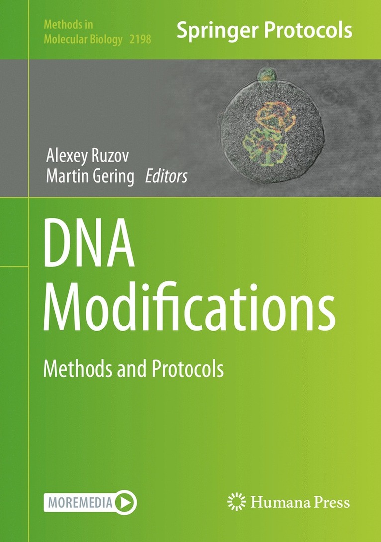 Alexey Ruzov, Martin Gering - DNA Modifications, Inbunden