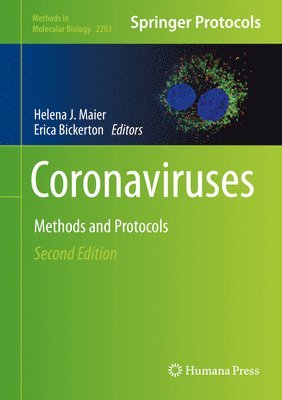 bokomslag Coronaviruses