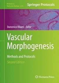 bokomslag Vascular Morphogenesis