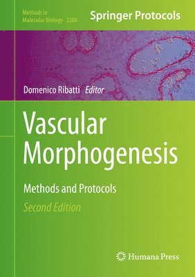 bokomslag Vascular Morphogenesis