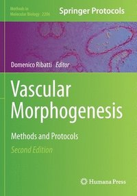 bokomslag Vascular Morphogenesis