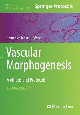 Vascular Morphogenesis 1