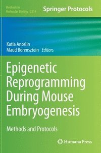 bokomslag Epigenetic Reprogramming During Mouse Embryogenesis