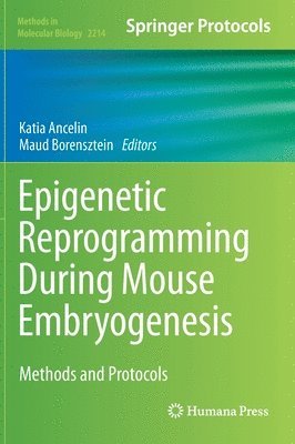 bokomslag Epigenetic Reprogramming During Mouse Embryogenesis