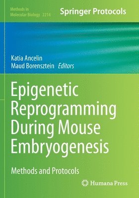 bokomslag Epigenetic Reprogramming During Mouse Embryogenesis