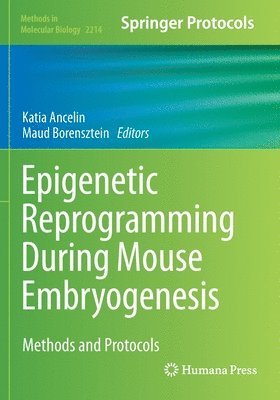 Epigenetic Reprogramming During Mouse Embryogenesis
