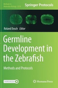bokomslag Germline Development in the Zebrafish