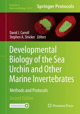 bokomslag Developmental Biology of the Sea Urchin and Other Marine Invertebrates