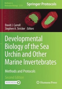bokomslag Developmental Biology of the Sea Urchin and Other Marine Invertebrates