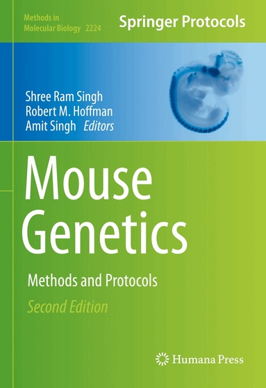 Shree Ram Singh, Robert M. Hoffman, Amit Singh - Mouse Genetics, Inbunden