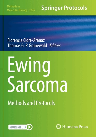 Florencia Cidre-Aranaz, Thomas G. P. Grünewald - Ewing Sarcoma, Häftad