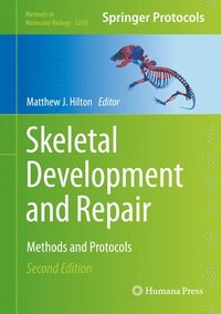 bokomslag Skeletal Development and Repair