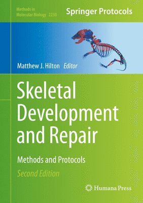 Skeletal Development and Repair 1