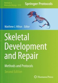 bokomslag Skeletal Development and Repair