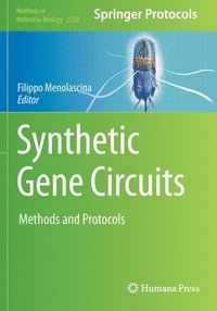 bokomslag Synthetic Gene Circuits