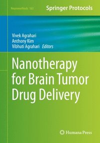 bokomslag Nanotherapy for Brain Tumor Drug Delivery