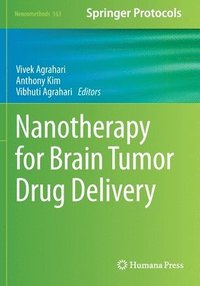 bokomslag Nanotherapy for Brain Tumor Drug Delivery