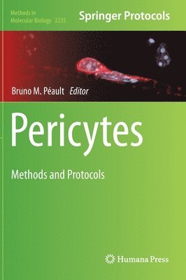Bruno M. Péault, Bruno M. Peault - Pericytes, Inbunden