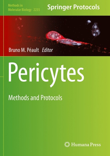 bokomslag Pericytes