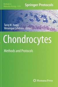 bokomslag Chondrocytes