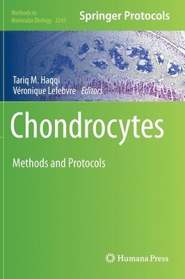 bokomslag Chondrocytes