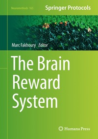 bokomslag Brain Reward System