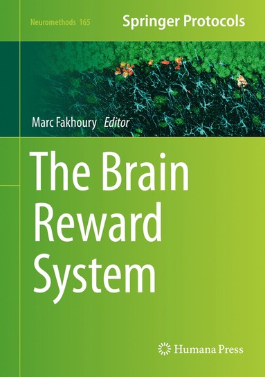 bokomslag Brain Reward System
