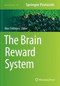 bokomslag Brain Reward System