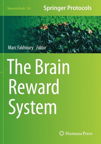 bokomslag Brain Reward System