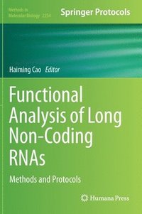 bokomslag Functional Analysis of Long Non-Coding RNAs