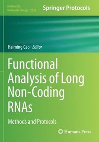 bokomslag Functional Analysis of Long Non-Coding RNAs