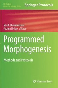 bokomslag Programmed Morphogenesis