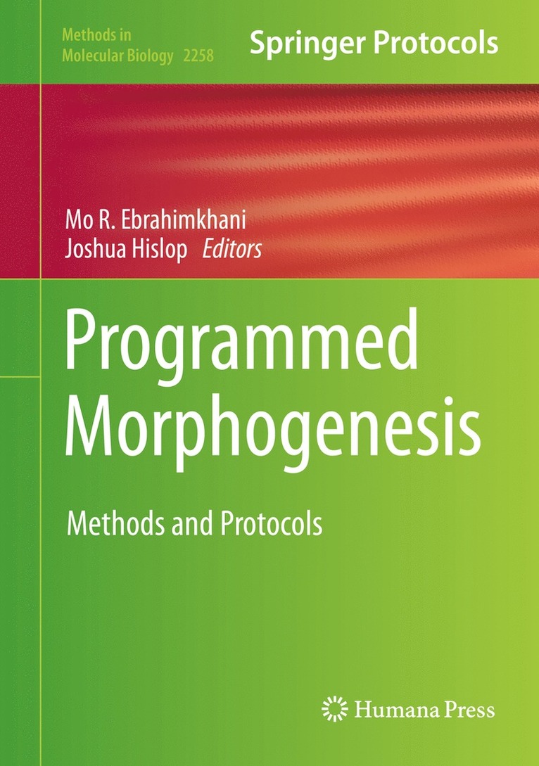 Programmed Morphogenesis