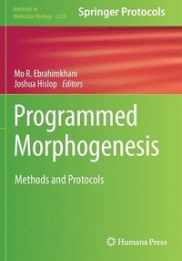 bokomslag Programmed Morphogenesis