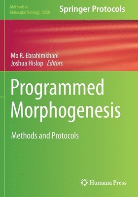 bokomslag Programmed Morphogenesis