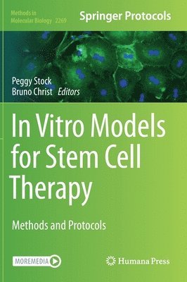 bokomslag In Vitro Models for Stem Cell Therapy