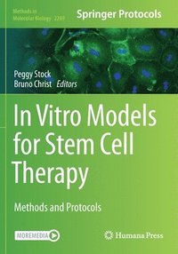 bokomslag In Vitro Models for Stem Cell Therapy