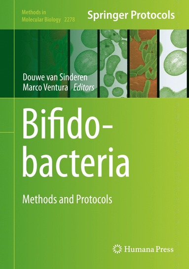 bokomslag Bifidobacteria