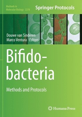 Bifidobacteria 1