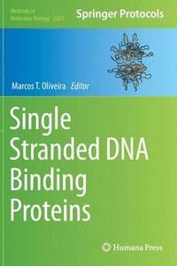 bokomslag Single Stranded DNA Binding Proteins