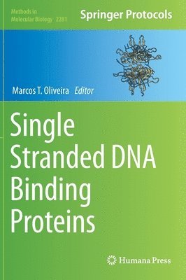 Single Stranded DNA Binding Proteins 1